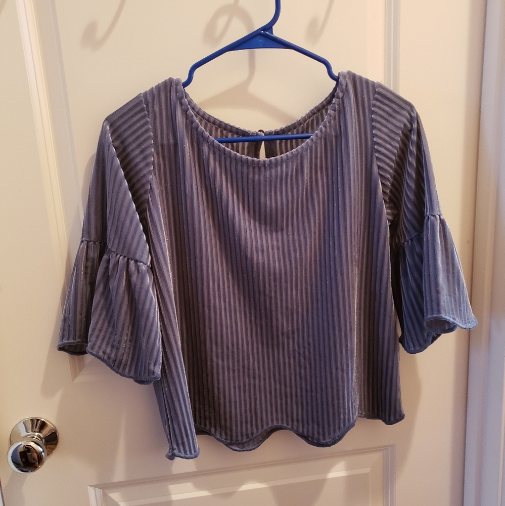 Blue velvet striped sheer top